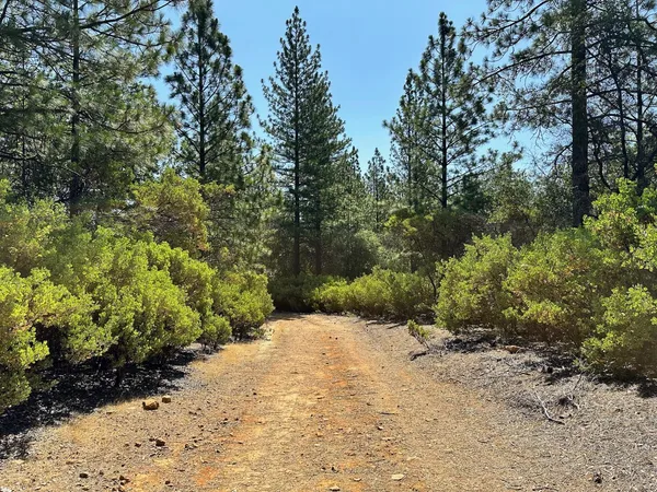 $700,000 | 1835 East Summit View Dr Meadow Vista, Meadow Vista, CA 95722