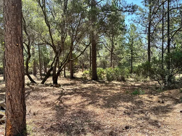 $700,000 | 1835 East Summit View Dr Meadow Vista, Meadow Vista, CA 95722