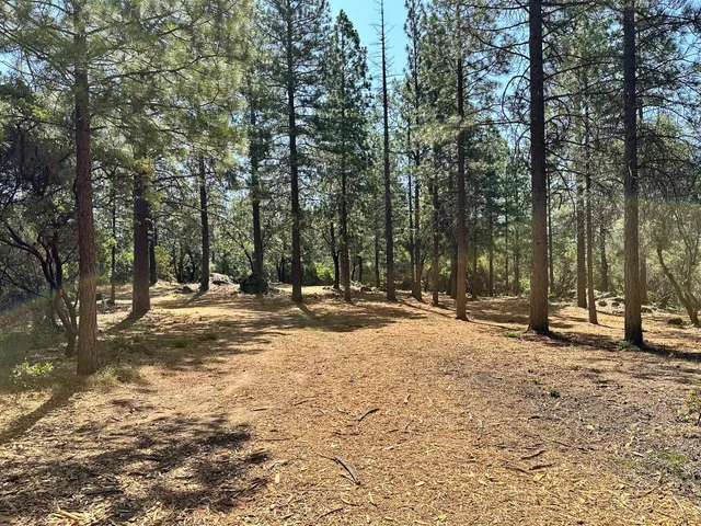 a view of a road with a tree