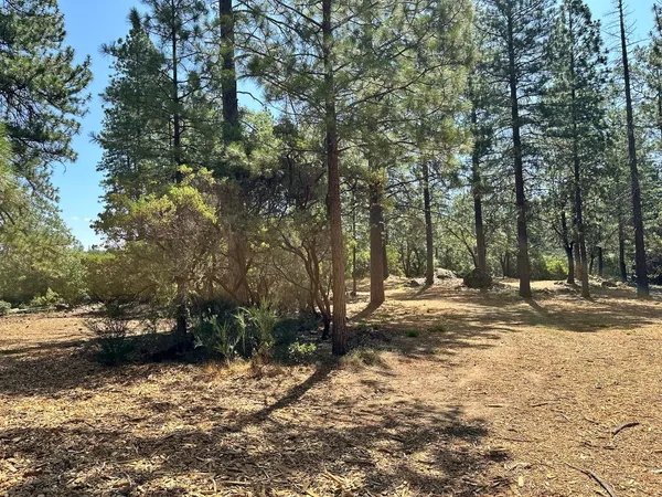 $700,000 | 1835 East Summit View Dr Meadow Vista, Meadow Vista, CA 95722