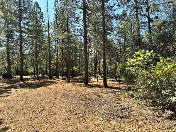 $700,000 | 1835 East Summit View Dr Meadow Vista, Meadow Vista, CA 95722