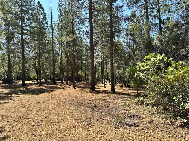 a view of outdoor space with trees