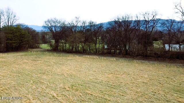 6.91-acres Dixon Farm Road Walland, TN 37886 - Photo 8 of 10 2026-03-01-12-07-38-747