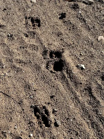 $55,000 | 47 Fm 572 Street East, Goldthwaite, TX 76844