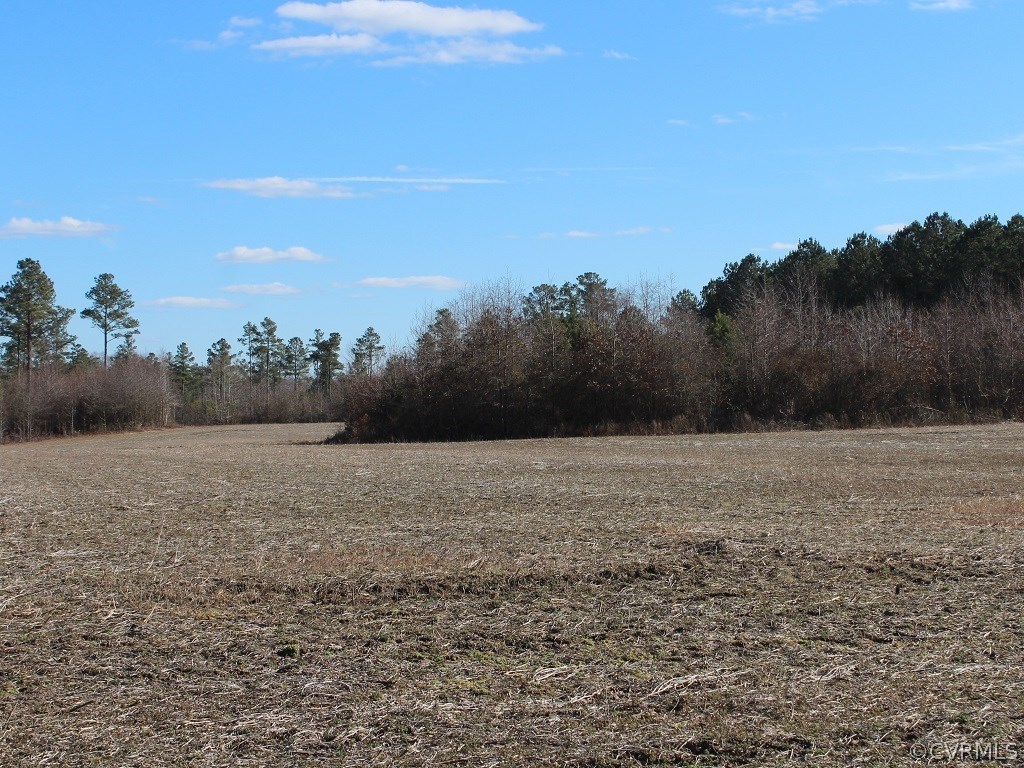 67-ac 67-ac Comans Well Road Yale, VA 23897 - Photo 2 of 9 Gallery Image 2
