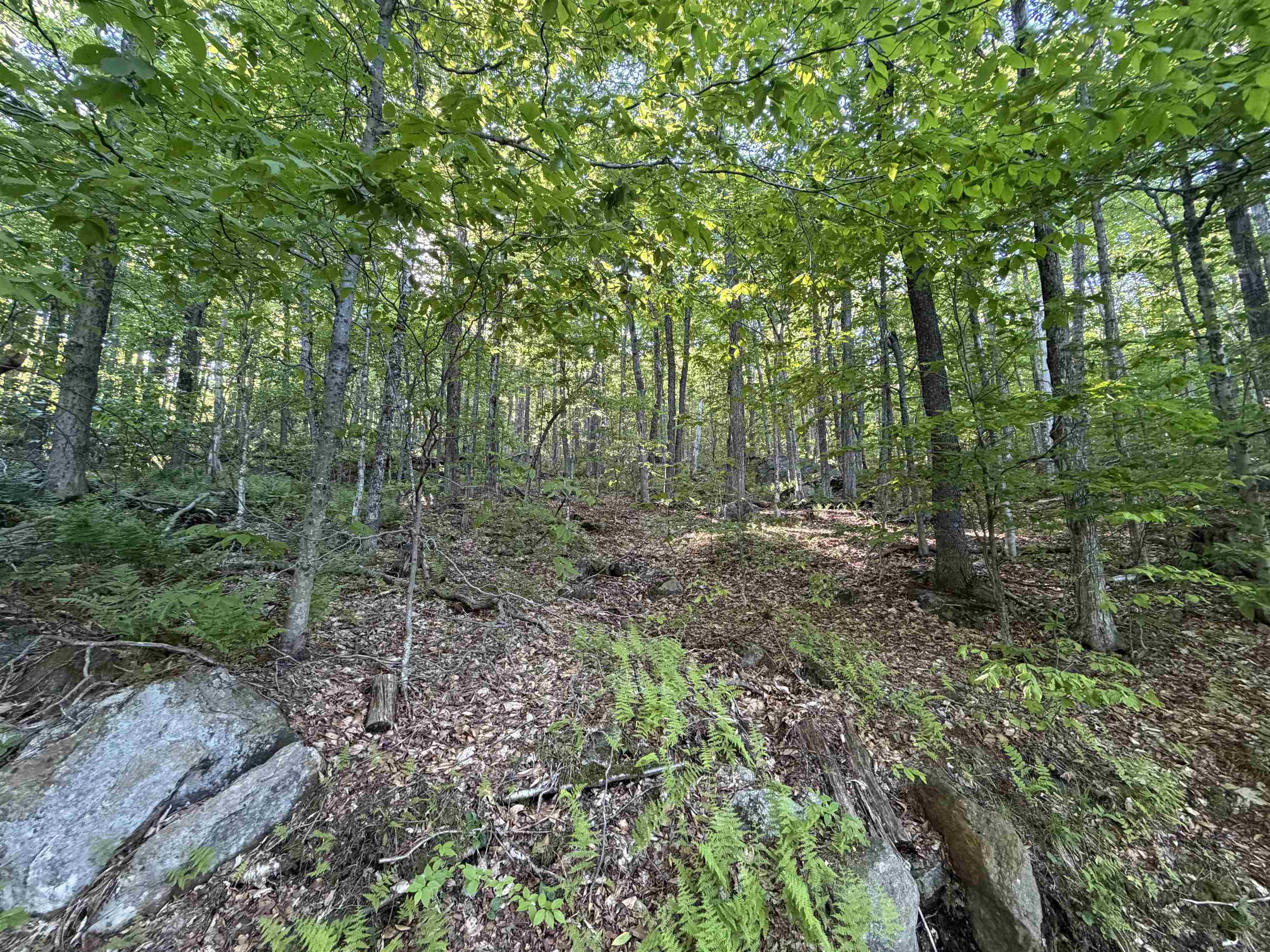 Scattered Timber Road Wilmington, VT 05363 - Photo 4 of 24