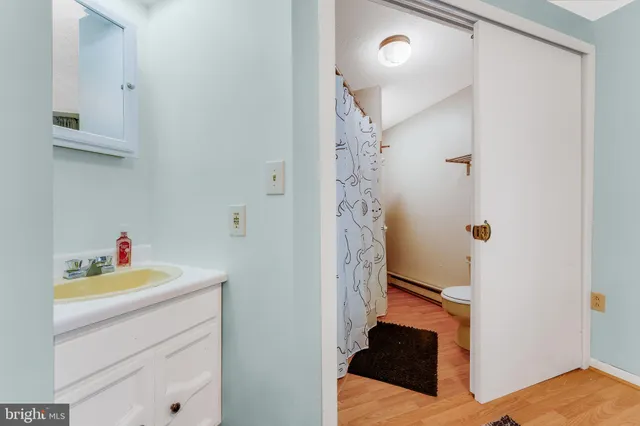 a bathroom with a sink and a shower