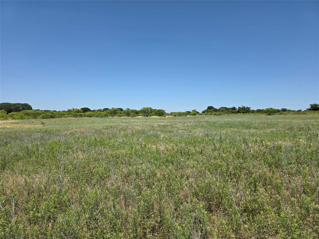 1000 County Road 375 Rising Star, TX 76471 - Photo 22 of 40