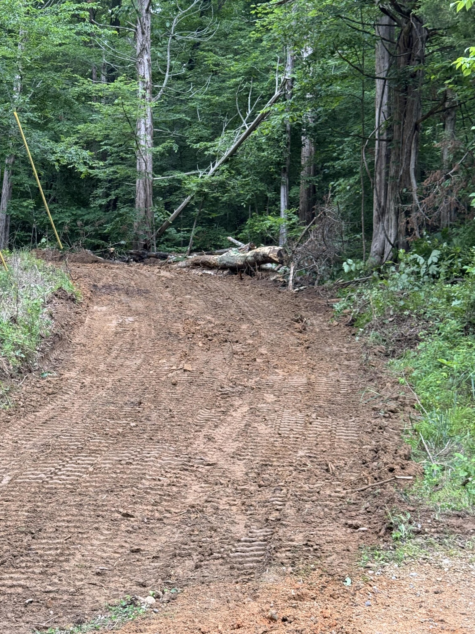 0 Brown Hollow Road Lyles, TN 37098 - Photo 12 of 18