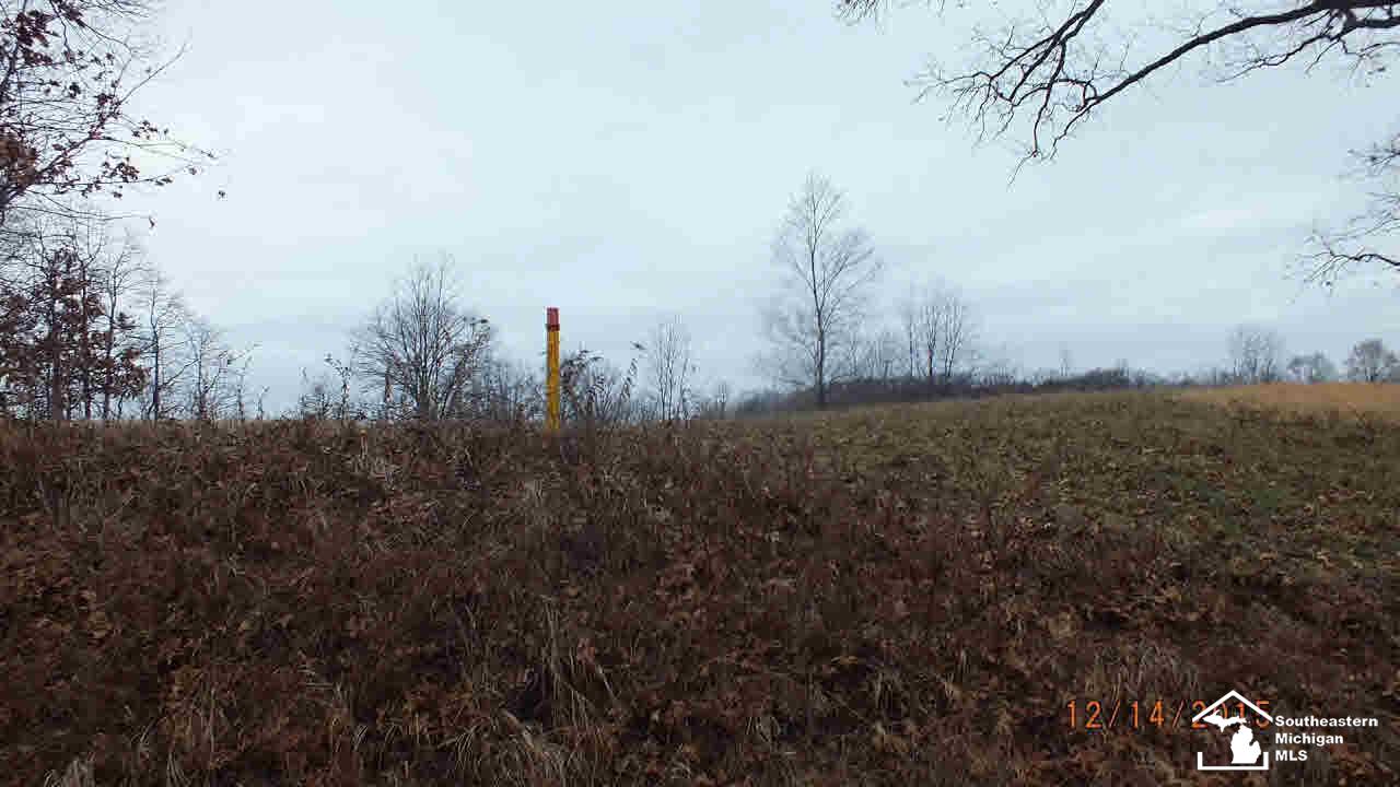 10 Yensch Road Maybee, MI 48159 - Photo 5 of 6