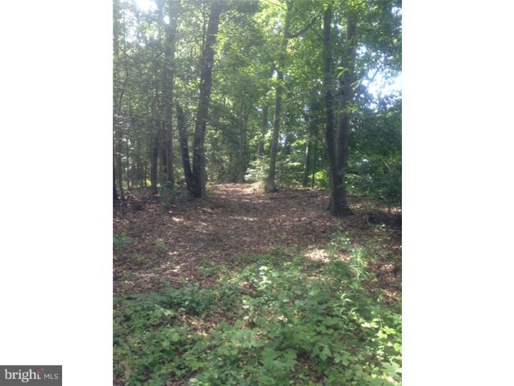 1834 Willow Grove Road Monroeville, NJ 08343 - Photo 1 of 3
