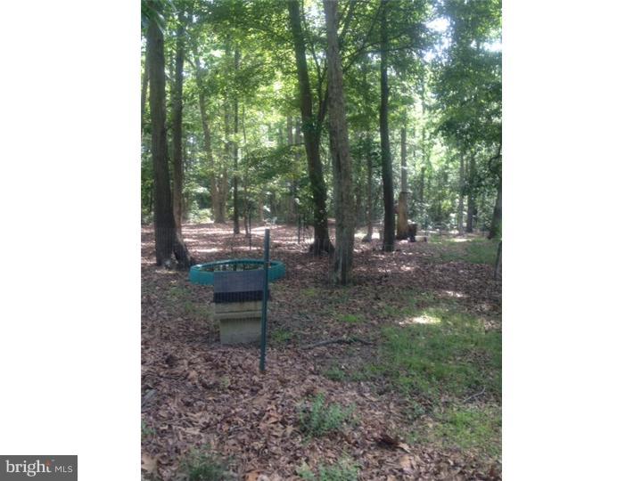 1834 Willow Grove Road Monroeville, NJ 08343 - Photo 2 of 3