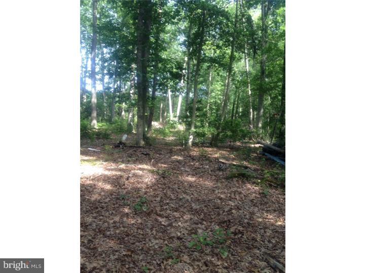 1834 Willow Grove Road Monroeville, NJ 08343 - Photo 3 of 3