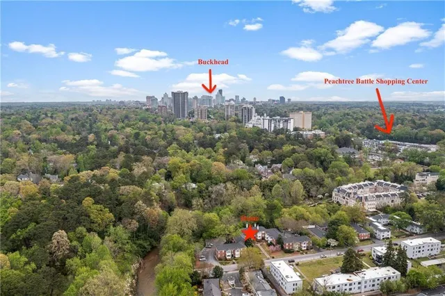 a plant that is in a garden