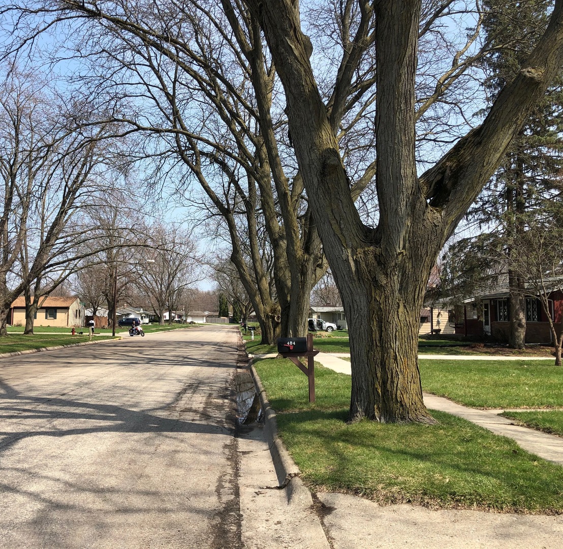 404 Cleveland Avenue Rochelle, IL 61068 - Photo 15 of 16