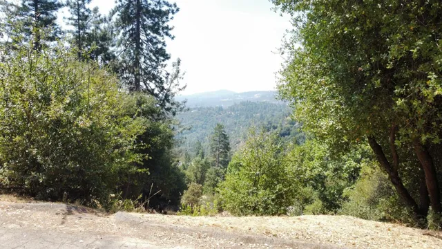 a view of road with trees