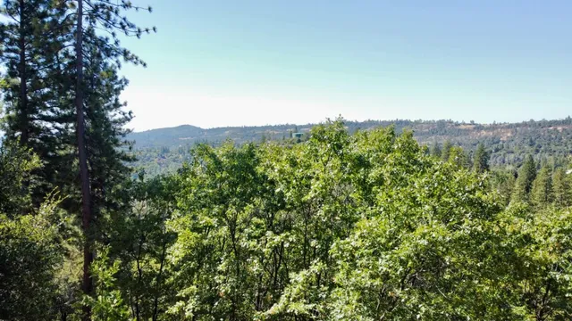 a view of a dirt road with trees in the background