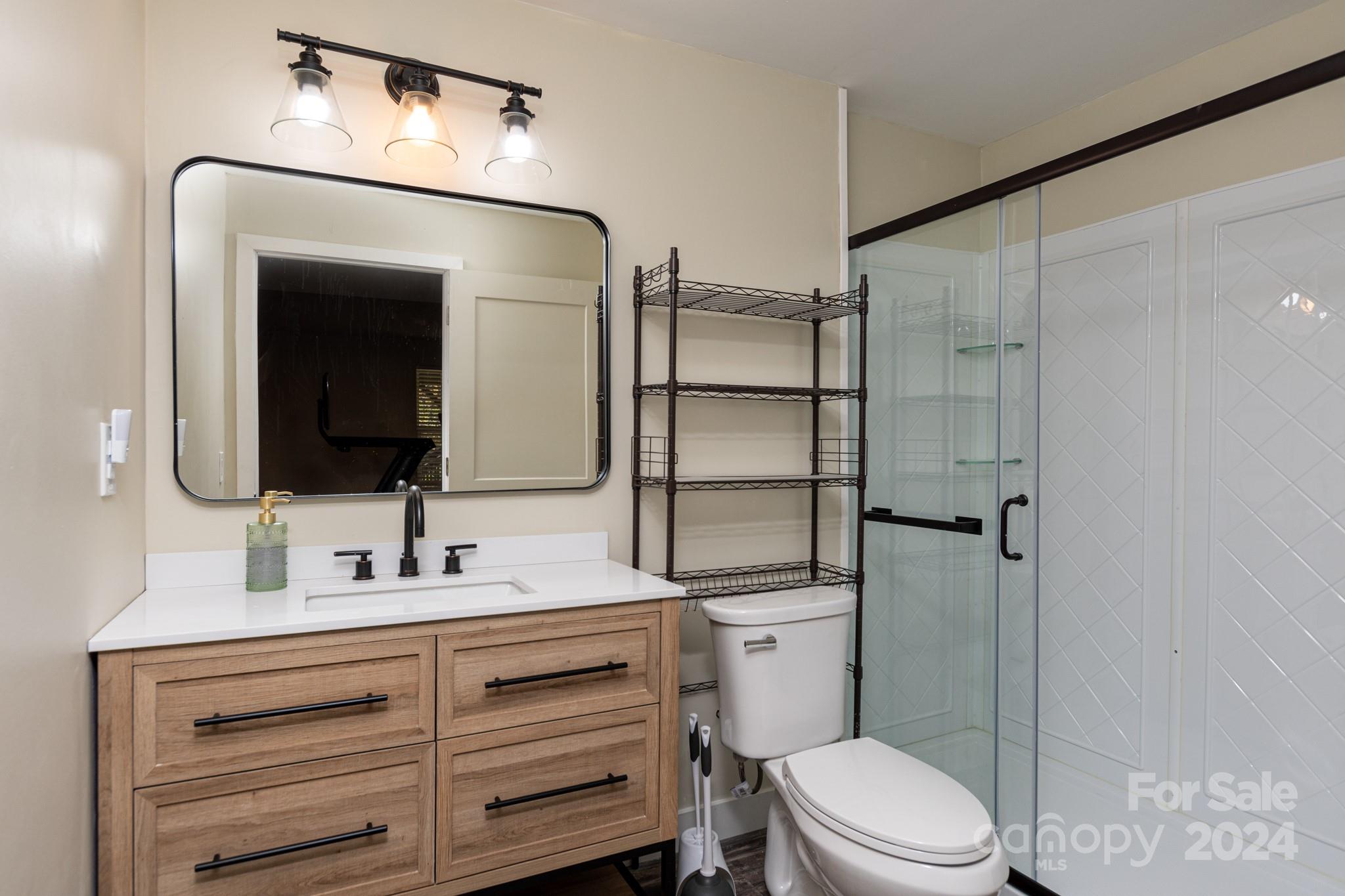 14306 Sunnyhill Grove Road Davidson, NC 28036 - Photo 28 of 35 a bathroom with a toilet sink vanity and shower