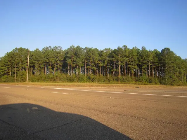 $168,000 | 0 Airport Road, Prentiss, MS 39474