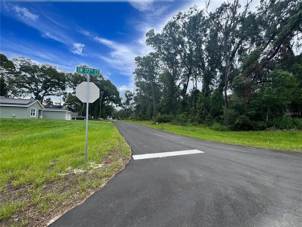 17574 Southwest 112th Place Dunnellon, FL 34432 - Photo 25 of 26 a swimming pool with lots of green space and trees