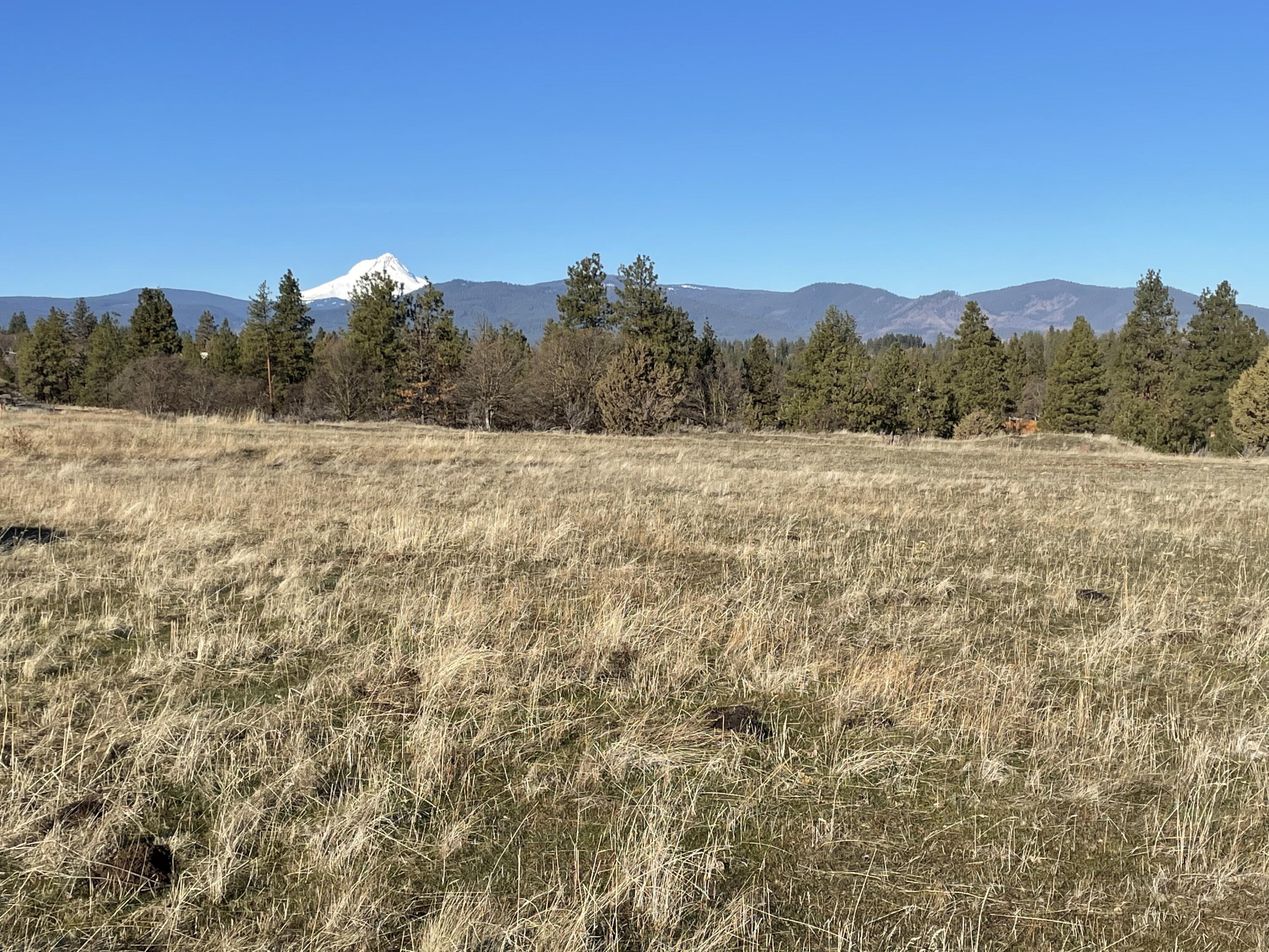 Lot 3 Homestead Road Tygh Valley, OR 97063 - Photo 1 of 9 IMG_9950