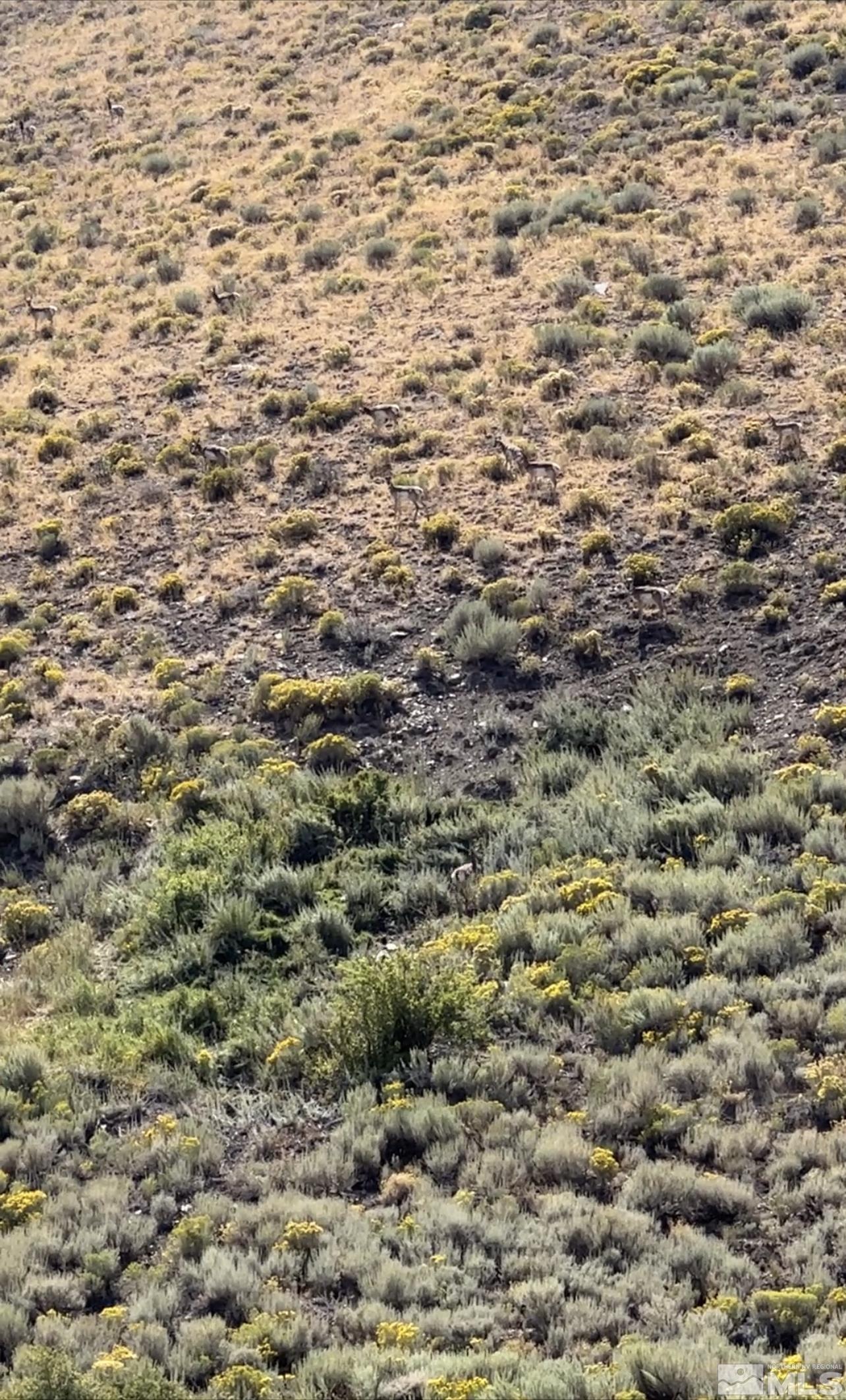 Apn Unit 008-650-03 Apn Unit 865003  