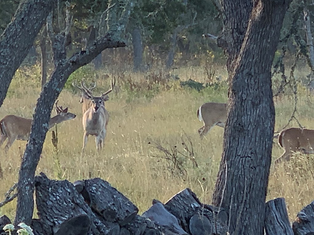 3527 Old Harper Road Fredericksburg, TX 78624 - Photo 17 of 41 a view of balcony with wooden floor
