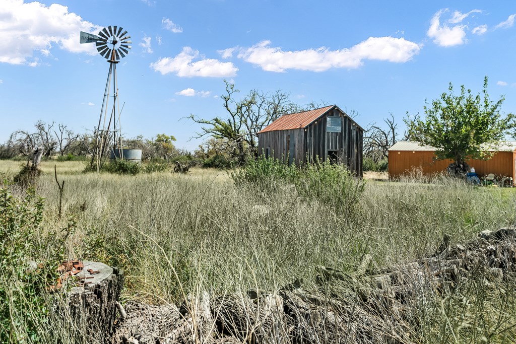 3527 Old Harper Road Fredericksburg, TX 78624 - Photo 19 of 41 a view of a garden with a house