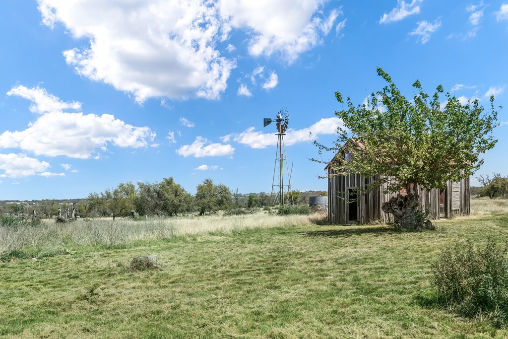 3527 Old Harper Road Fredericksburg, TX 78624 - Photo 25 of 41 a view of a garden with an tree