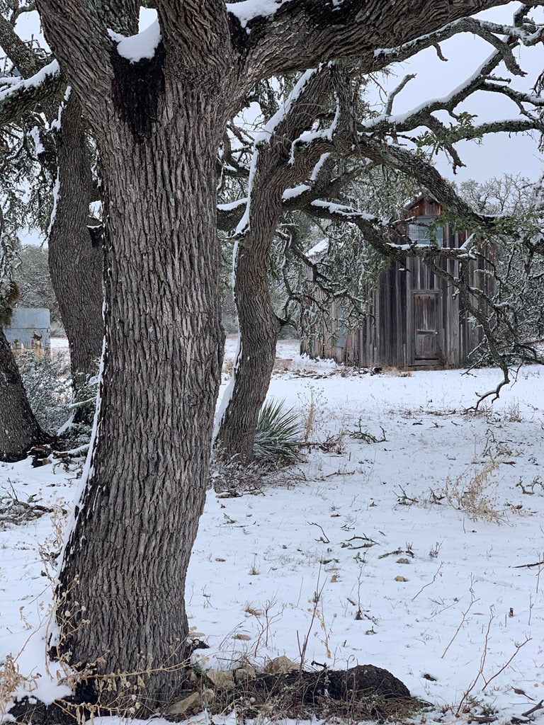 3527 Old Harper Road Fredericksburg, TX 78624 - Photo 37 of 41 a view of a backyard of the house