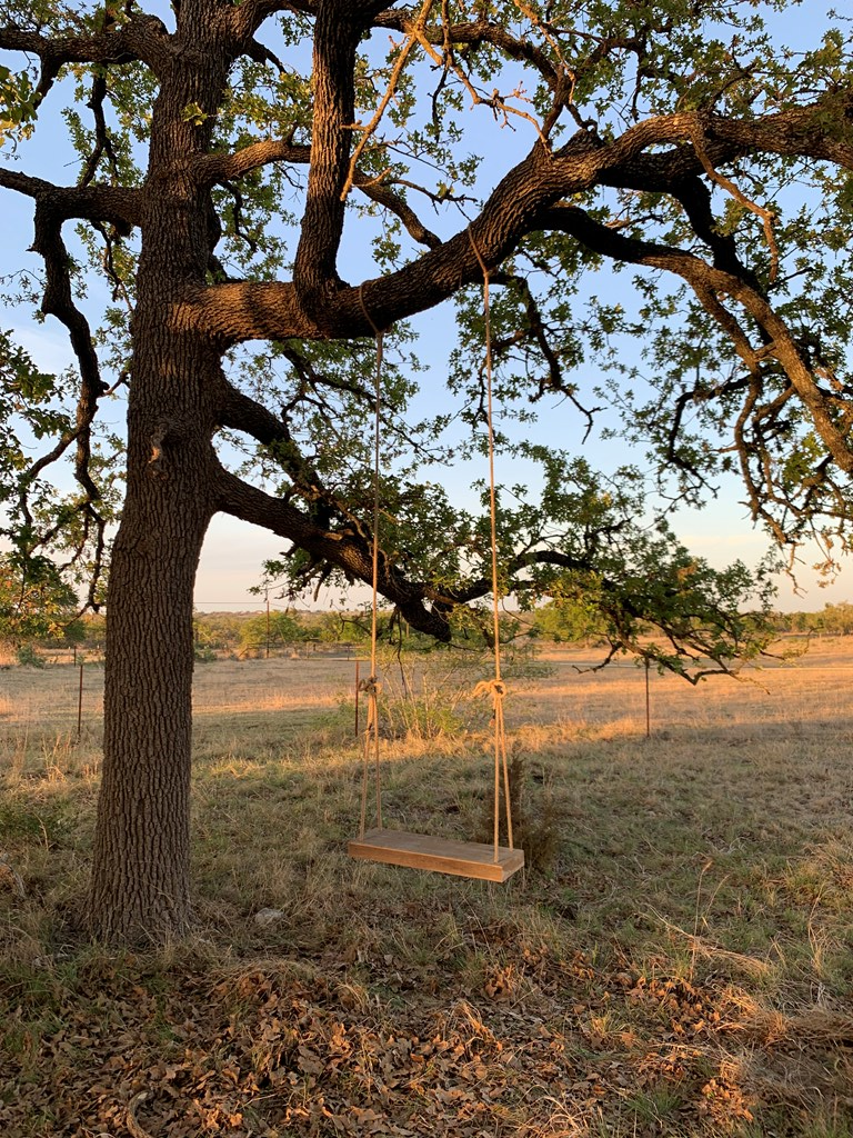 3527 Old Harper Road Fredericksburg, TX 78624 - Photo 38 of 41 a view of yard