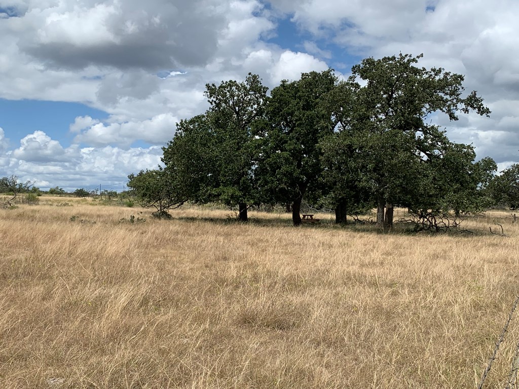 3527 Old Harper Road Fredericksburg, TX 78624 - Photo 41 of 43 a view of outdoor space and yard