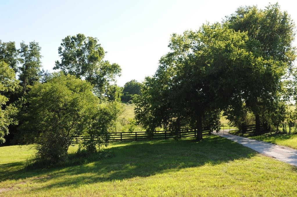 963 Cynthiana Road Paris, KY 40361 - Photo 12 of 21 Photo 12