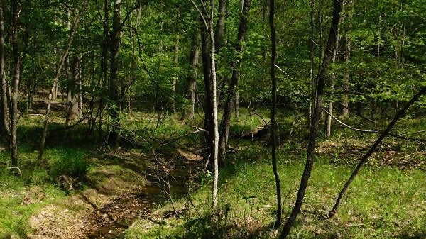 0 Lee's Ridge Road Martinsville, VA 24112 - Photo 4 of 26 Gallery Image 4