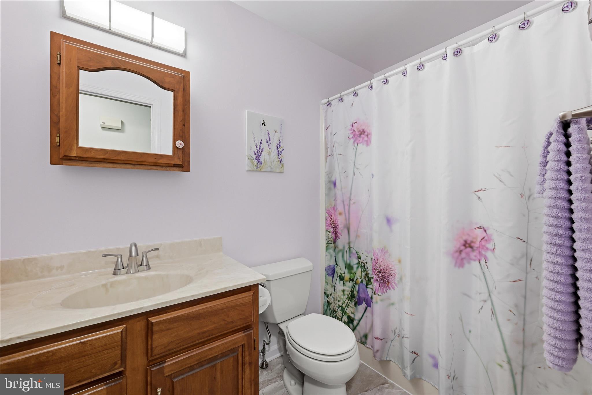 16335 Back Road Strasburg, VA 22657 - Photo 22 of 56 Hall bath with tub/shower