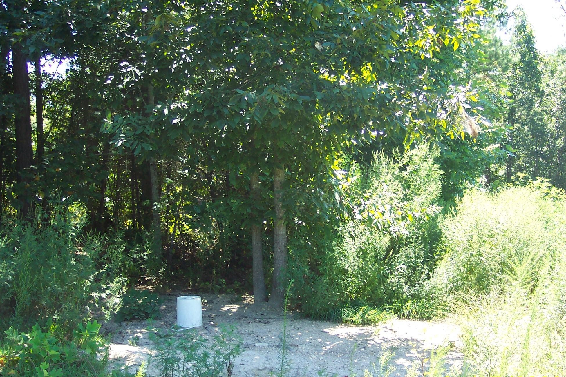 227 County Road 118 Riceville, TN 37370 - Photo 6 of 8 Gallery Image 6