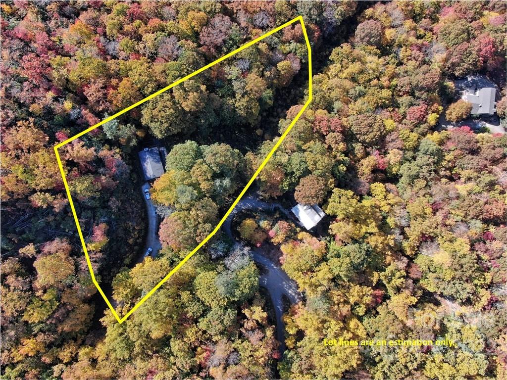 1316 Middle Ridge Road Sylva, NC 28779 - Photo 5 of 22 Gallery Image 5
