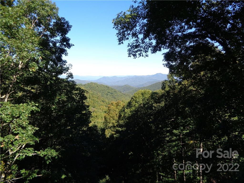 1316 Middle Ridge Road Sylva, NC 28779 - Photo 7 of 22 Gallery Image 7