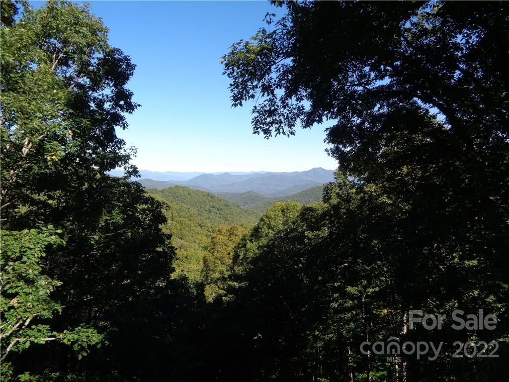 1316 Middle Ridge Road Sylva, NC 28779 - Photo 8 of 22 Gallery Image 8
