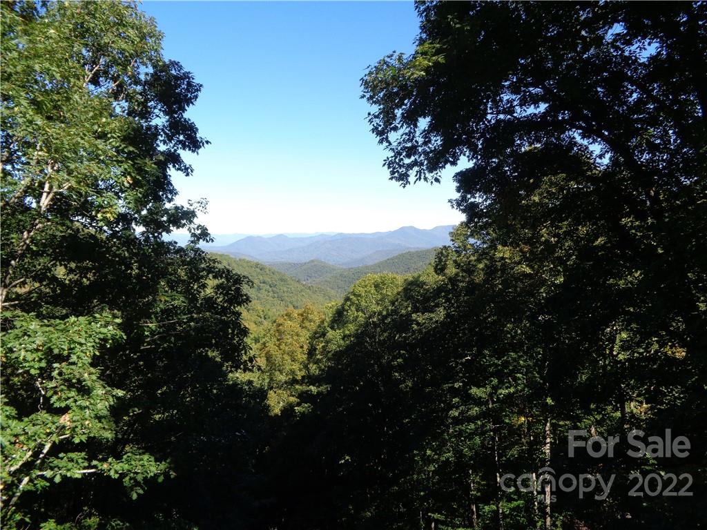 1316 Middle Ridge Road Sylva, NC 28779 - Photo 9 of 22 Gallery Image 9