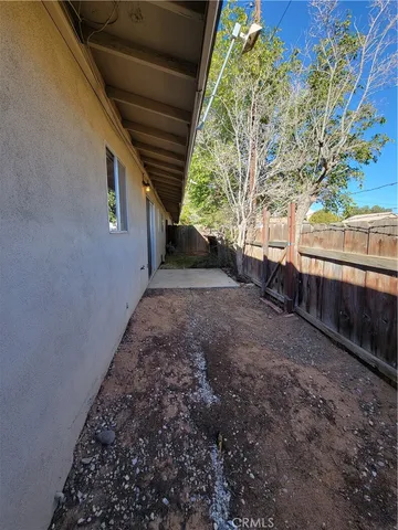 a view of a backyard with large trees and plants