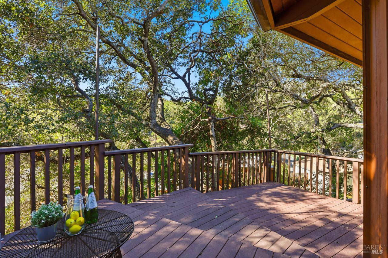 50 Oak Avenue Novato, CA 94945 - Photo 20 of 33