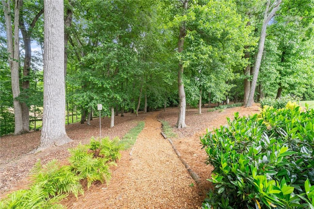 322 Edwards Brook Lane Canton, GA 30115 - Photo 89 of 99 a view of a backyard with potted plants and large trees