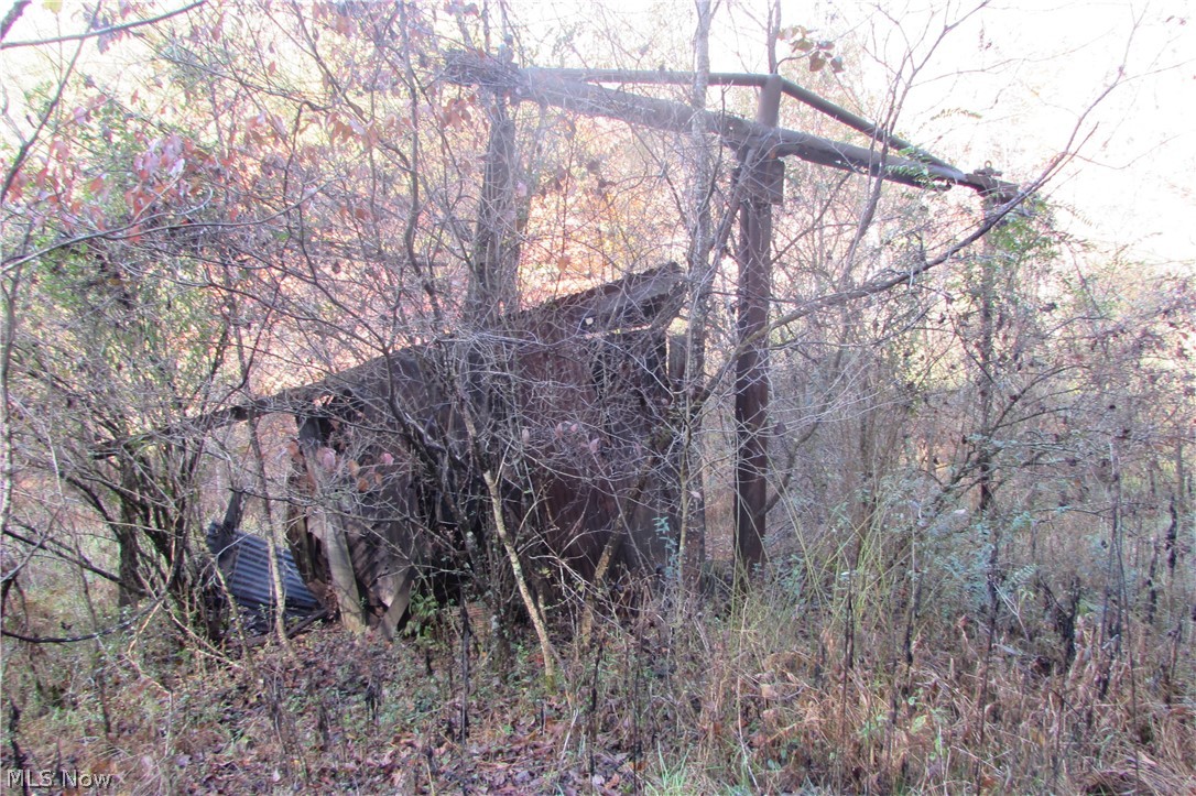 Racy Road Petroleum, WV 26161 - Photo 11 of 16