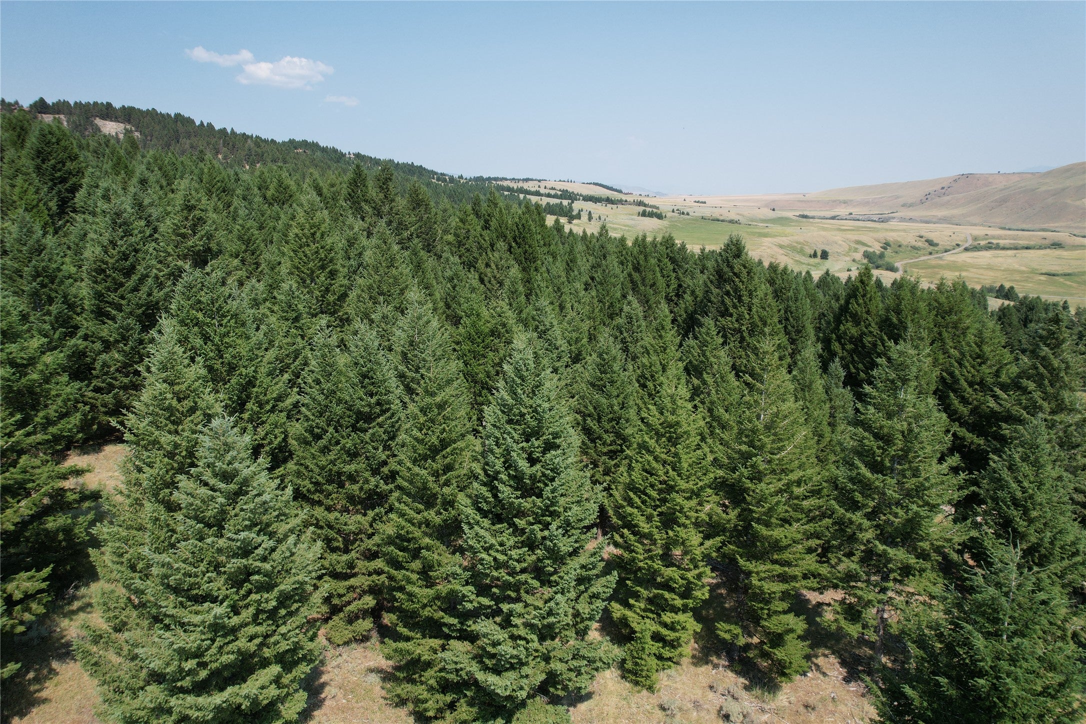 Lot 25 Sun West Ranch Cameron, MT 59720 - Photo 9 of 30 Gallery Image 9