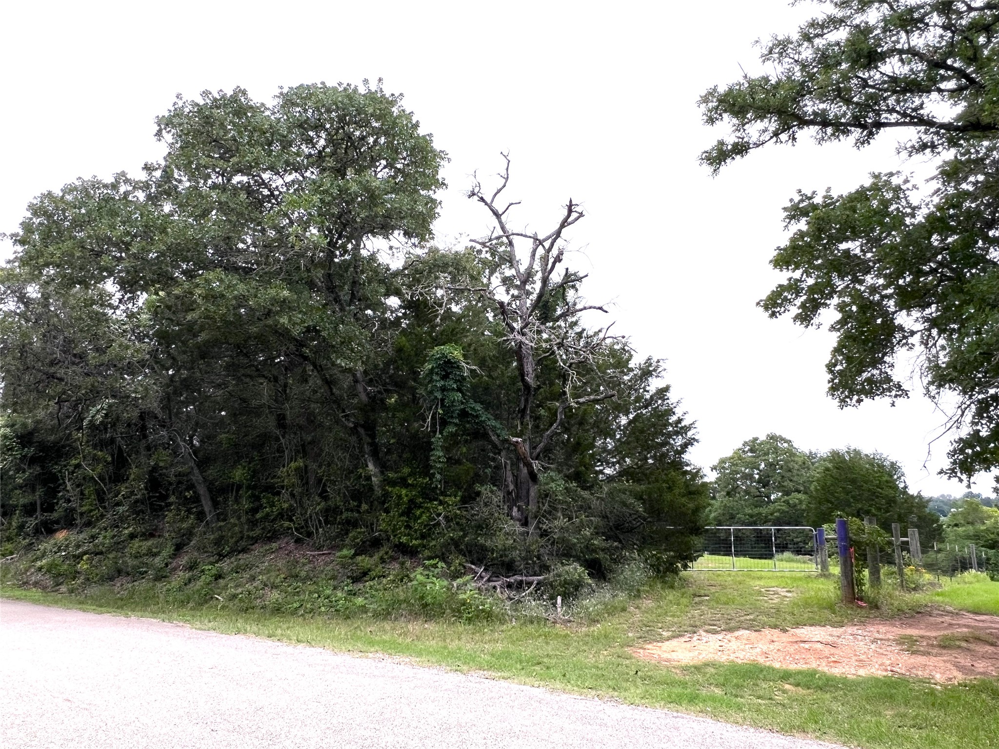 160 Rosanky Cattle Company Road, Unit R Smithville, TX 78957 - Photo 4 of 19 a view of outdoor space