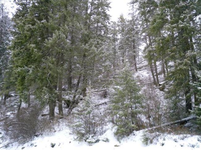 Tbd Spring Valley Road Elk, WA 99009 - Photo 12 of 22 Gallery Image 12