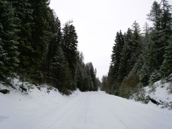 Tbd Spring Valley Road Elk, WA 99009 - Photo 13 of 22 Gallery Image 13
