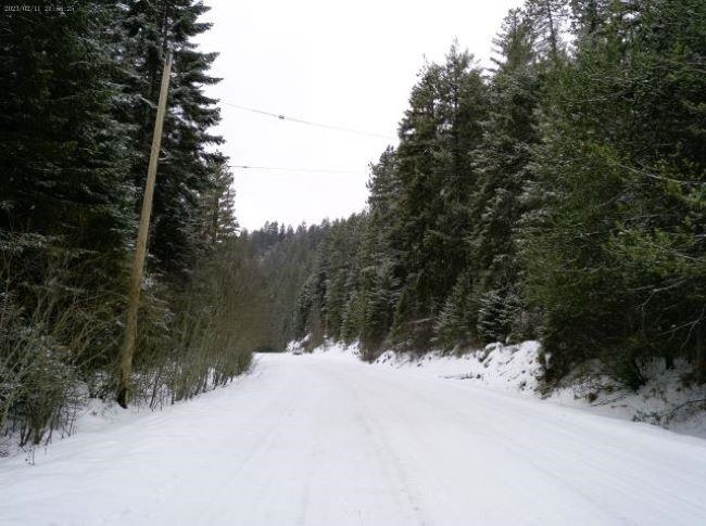 Tbd Spring Valley Road Elk, WA 99009 - Photo 14 of 22 Gallery Image 14