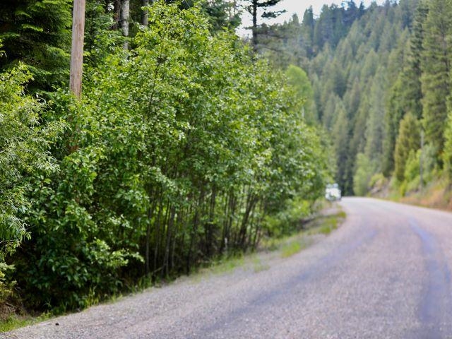 Tbd Spring Valley Road Elk, WA 99009 - Photo 17 of 22 Gallery Image 17